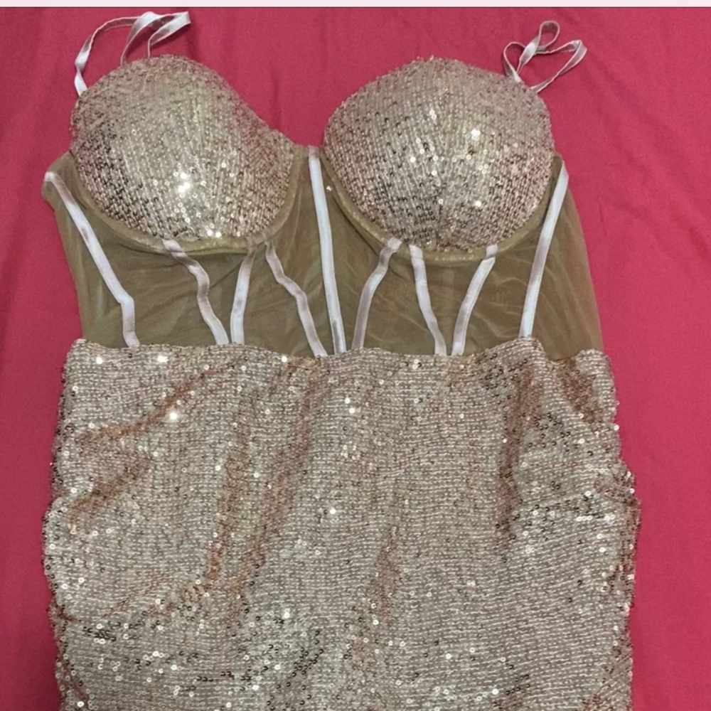 Fashion Nova Sequin Dress